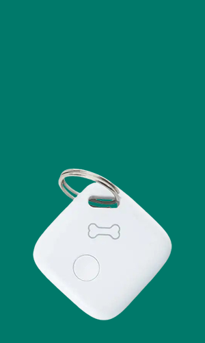 Pet Tag